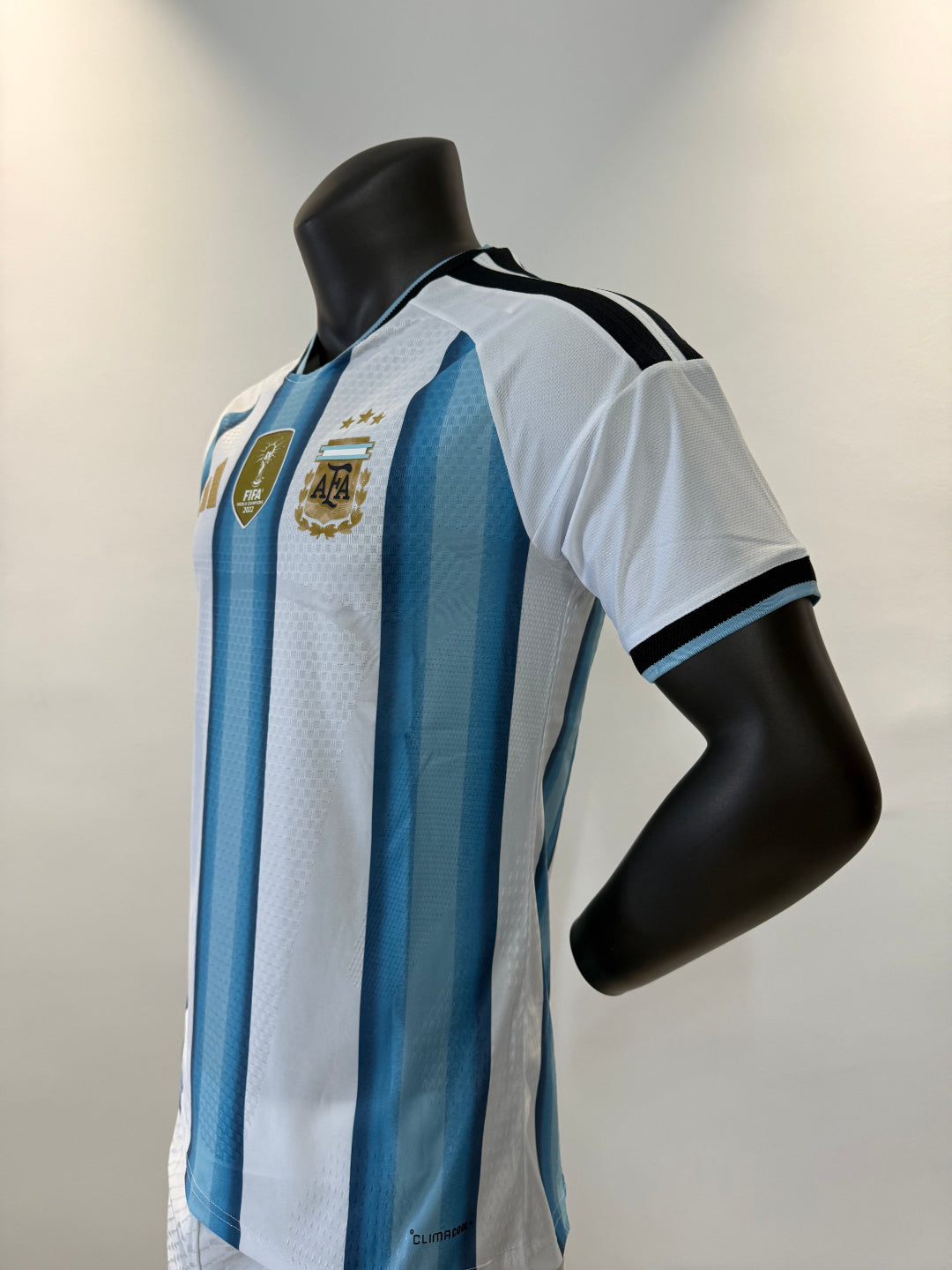 Argentina 2026 Local