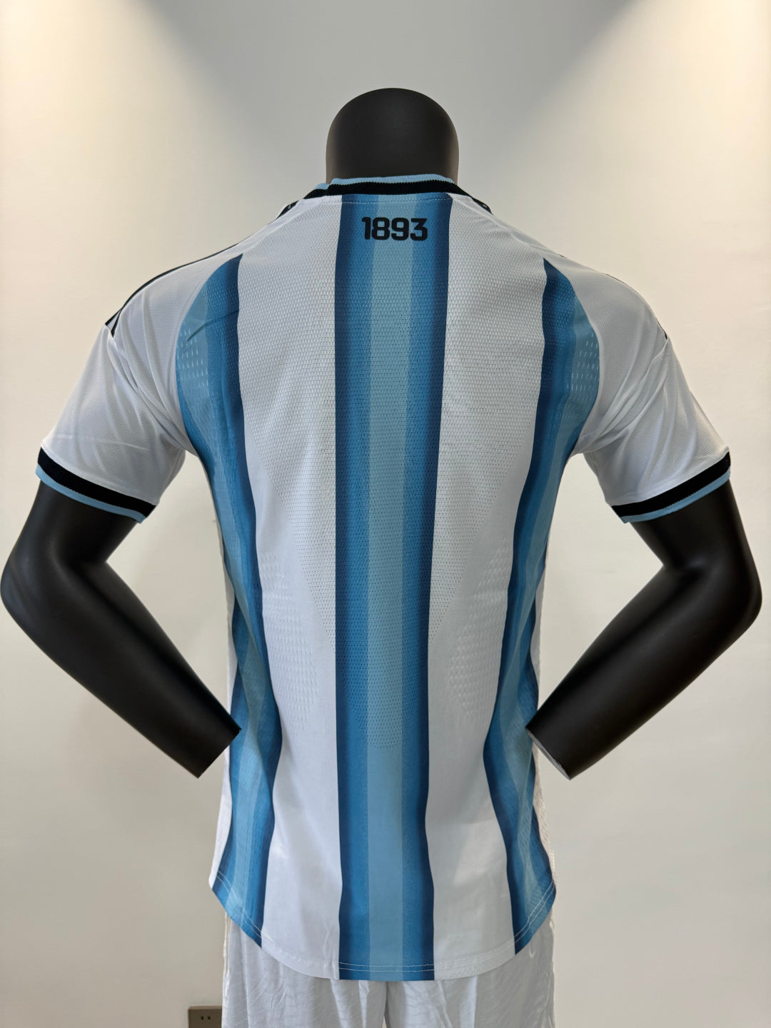 Argentina 2026 Local