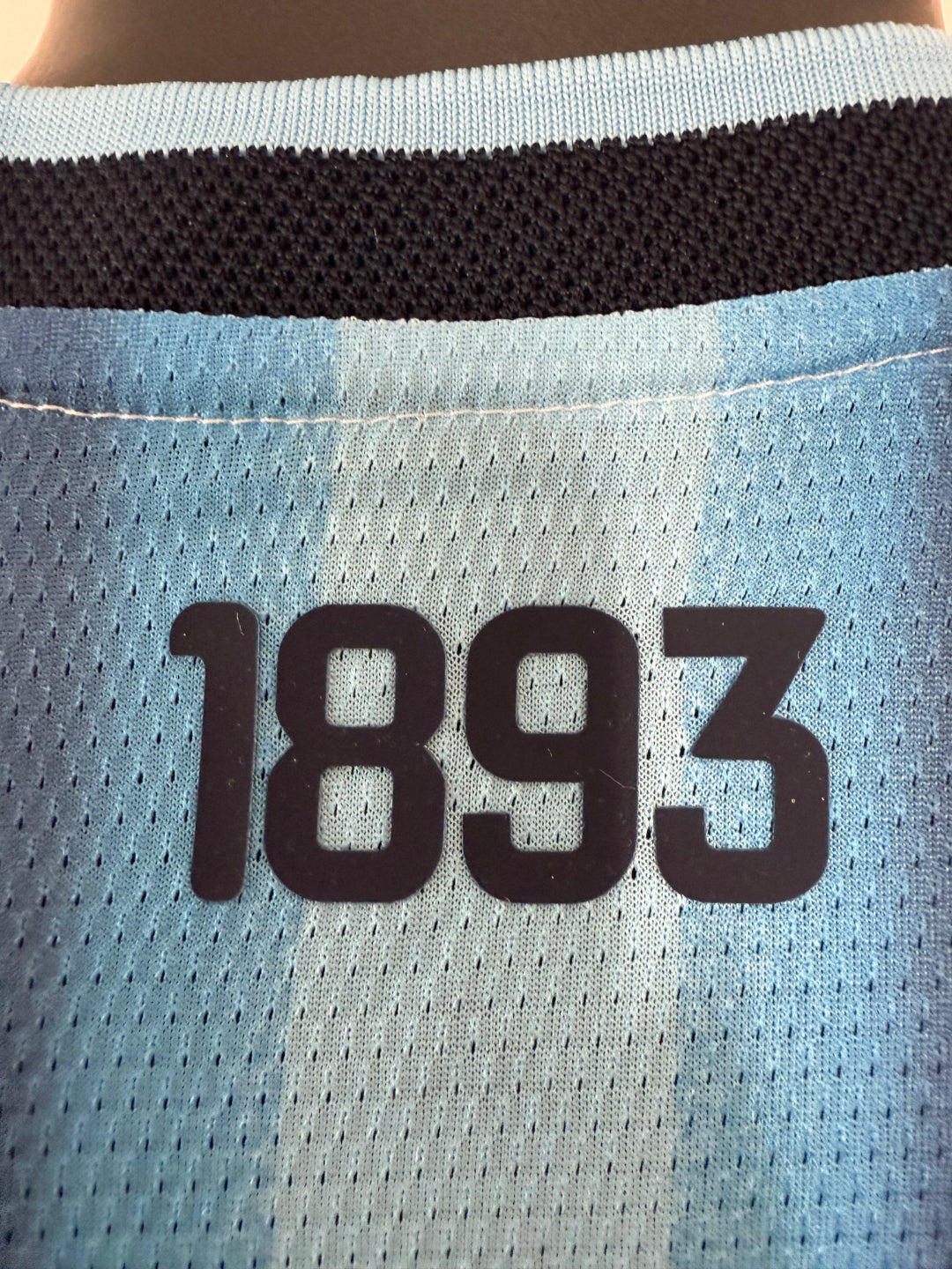 Argentina 2026 Local