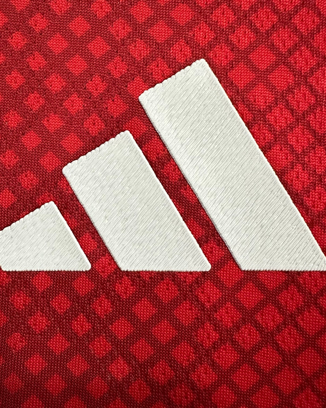 Ajax 2025/2026 Local