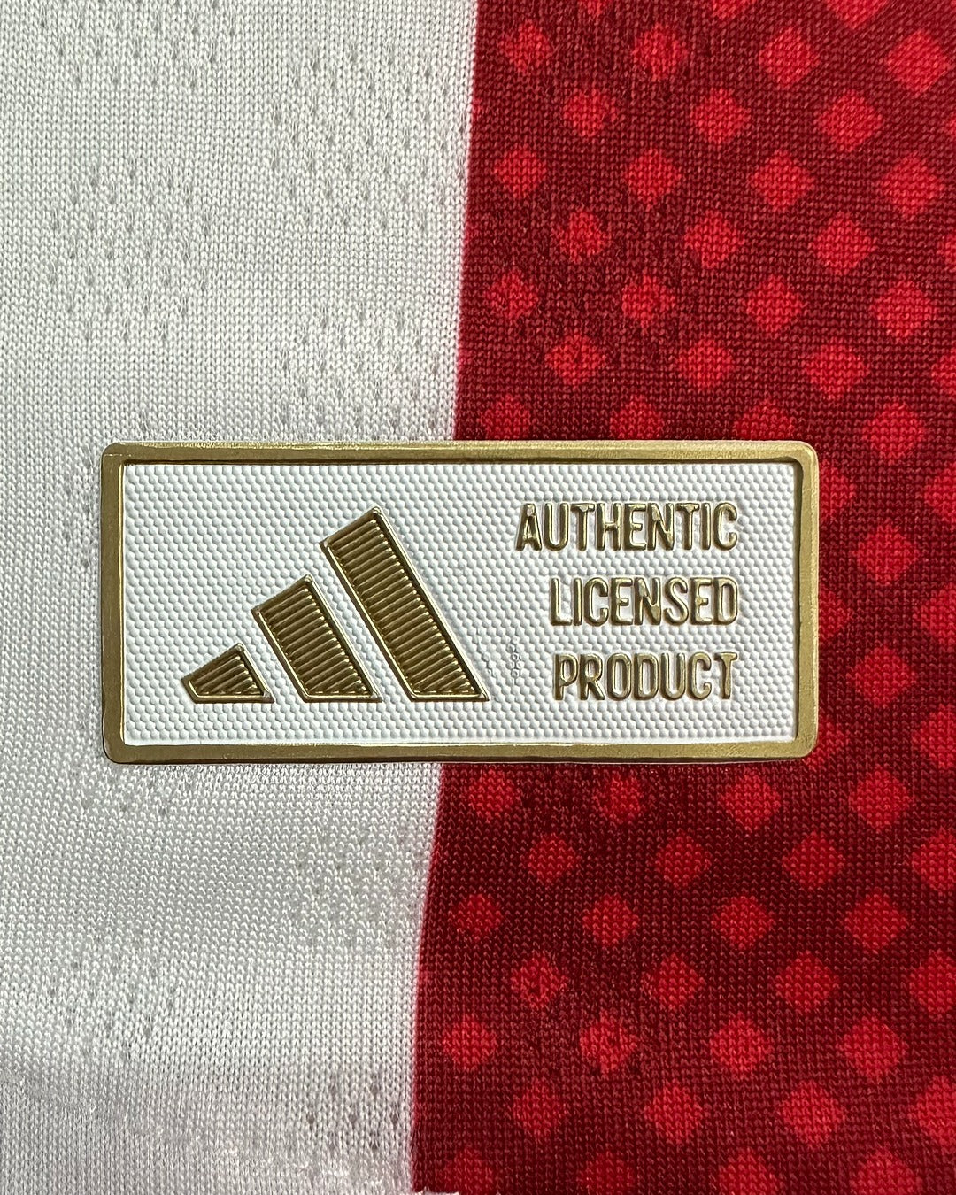 Ajax 2025/2026 Local